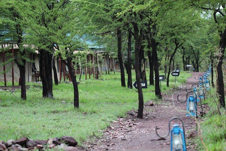 4 Days 3 Nights Tanzanian Budget Safari Tour