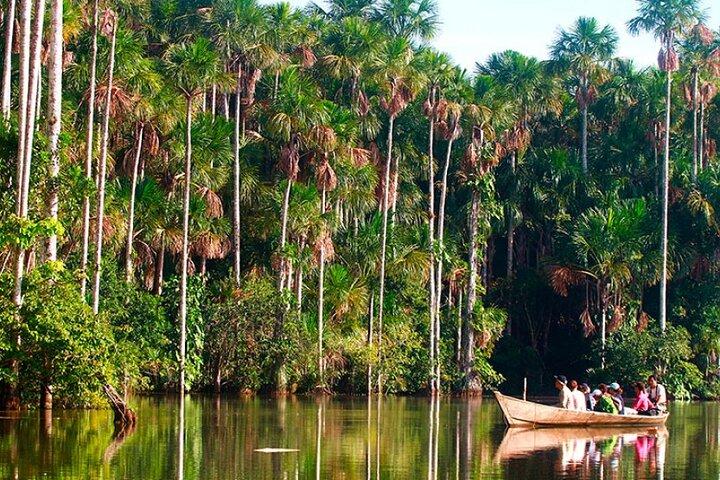 Wildlife adventure at Sandoval in the Tambopata National Reserve.