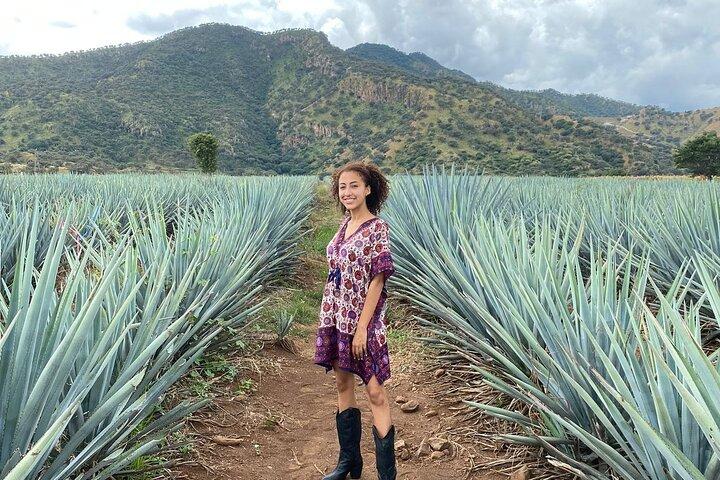 Enjoy a full day on the Tequila and Amatitan route