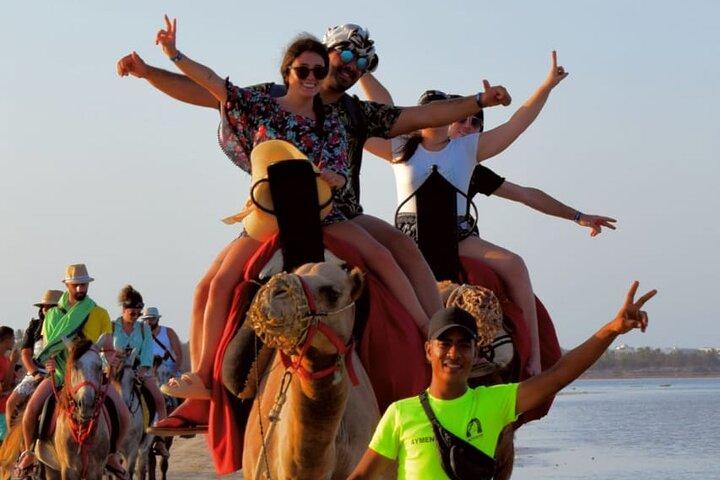 Explore Djerba by camel and horse
