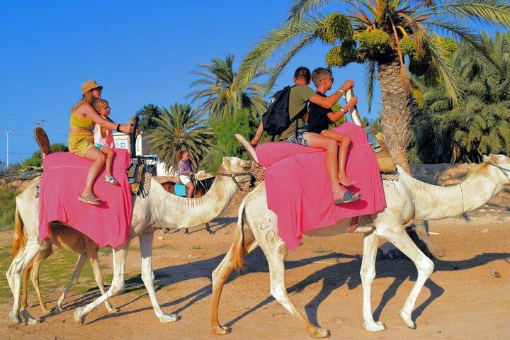 Explore Djerba by camel and horse