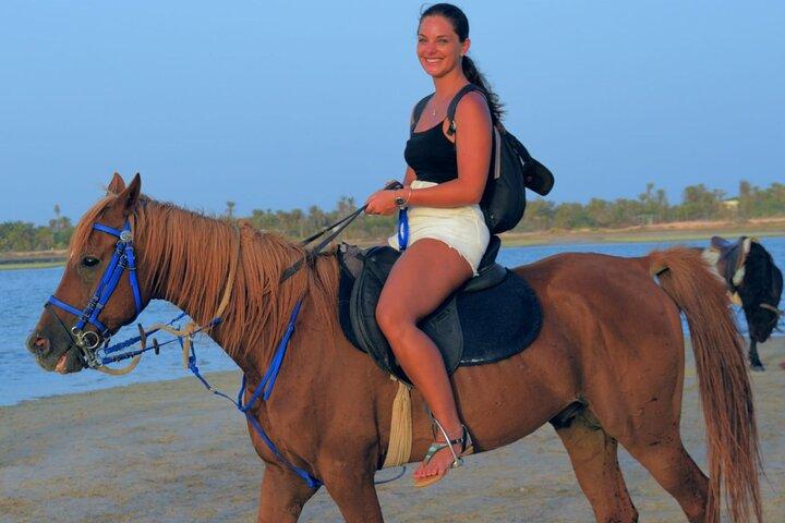 Explore Djerba by camel and horse
