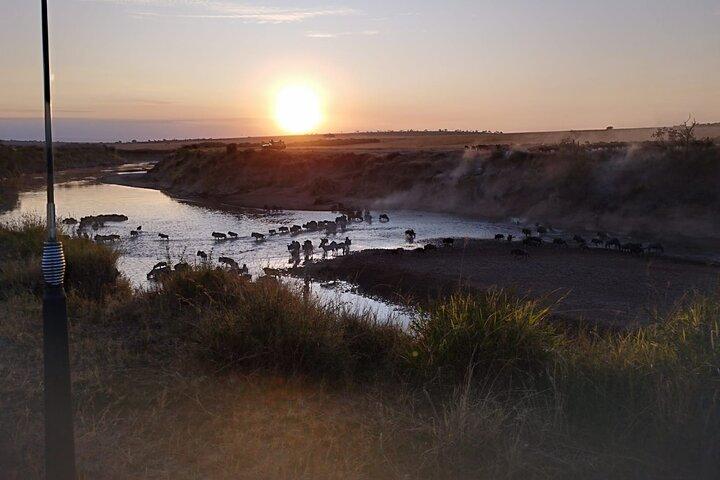 Private 5 Day Maasai Mara with Lake Nakuru and Lake Naivasha Tour
