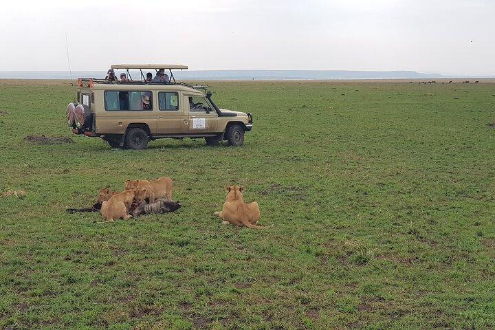 Private 5 Day Maasai Mara with Lake Nakuru and Lake Naivasha Tour