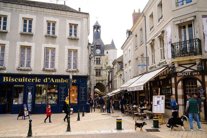 Loire Valley Tour: Leonardo da Vinci Home & Amboise Castle