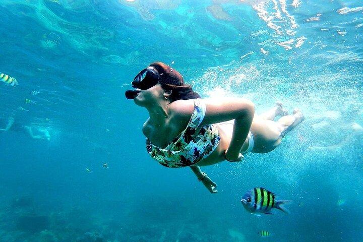 From Phuket: Phi Phi, Maya and Bamboo Islands Full Day Visit
