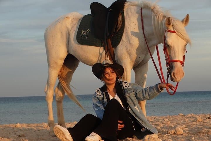Private Horse Riding Tour in Luxor West Bank