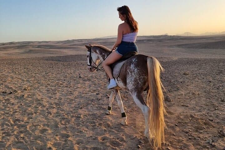 Private Horse Riding Tour in Luxor West Bank