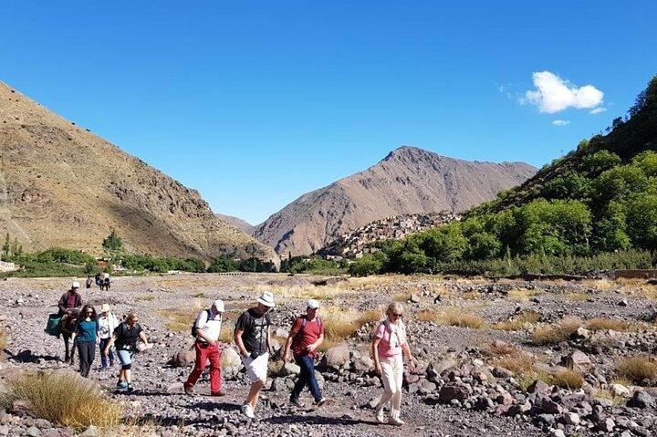 Marrakech Atlas Mountains Hiking Tour: Talamrout Summit 2616m