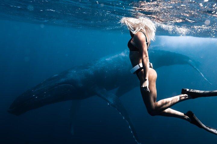 Swimming with Whales in Moorea