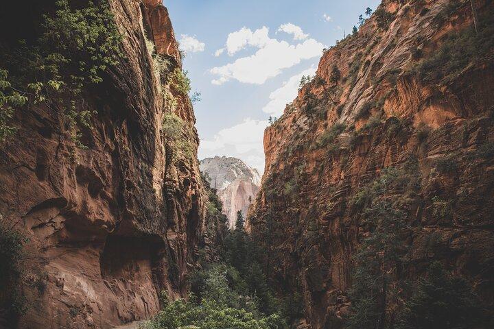 Zion Full Day Small Group Tour & Hike - with Narrows