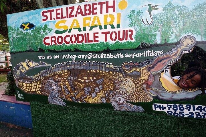 South Coast Tour to YS Falls, Black River Safari and Appleton Rum