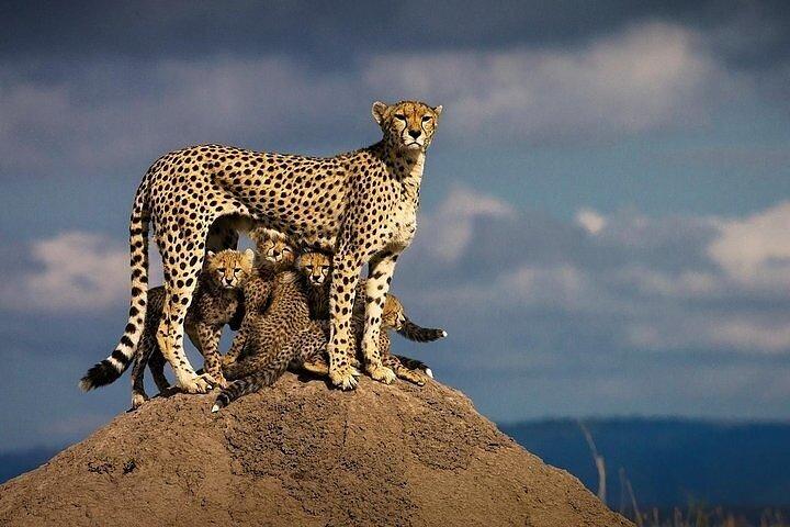 3 Days Masai Mara Flying Safari & Hot Air Balloon Ride Package