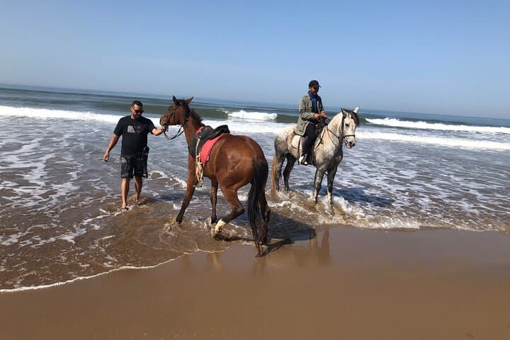 Horse Riding Agadir