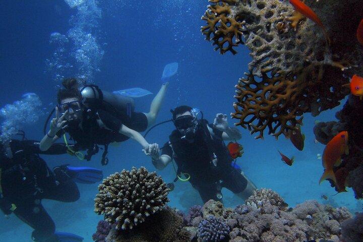 From Kemer: Enjoy Two Exciting Dives in Crystal Clear Waters