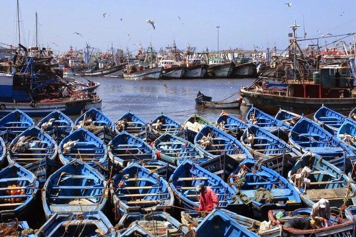 From Marrakech: Full-Day Trip to Essaouira City
