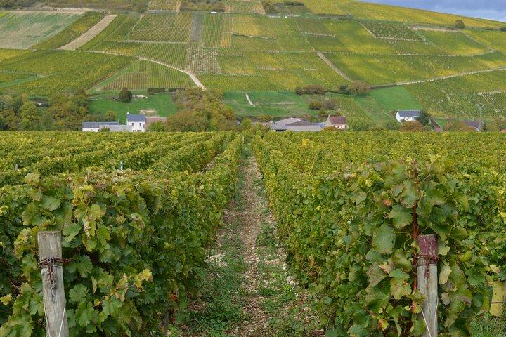 Paris Wine Day Tours exclusive wine tour in the Sancerre area