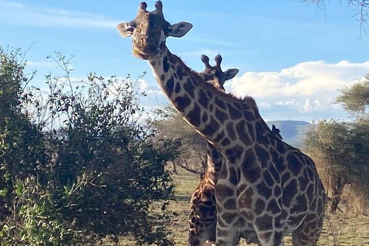 6 Days Tanzania National Parks camping group Tour