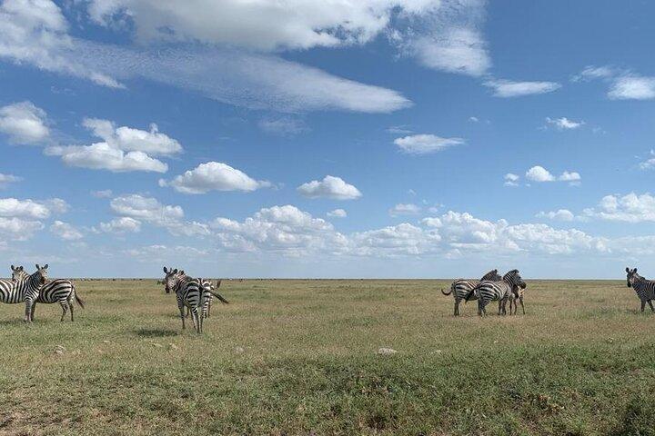 3 Days Lake Manyara, Tarangire, Ngorongoro Crater group (Camping)