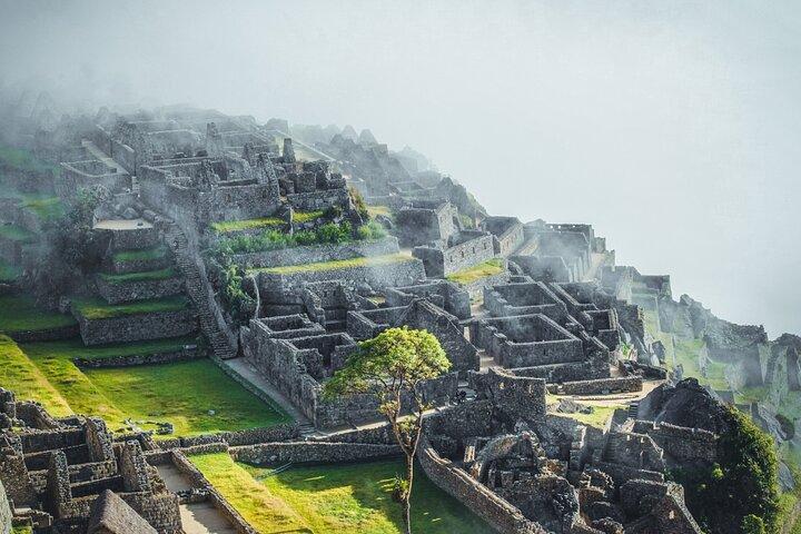 Machu Picchu Day Trip With Panoramic Train from Cusco