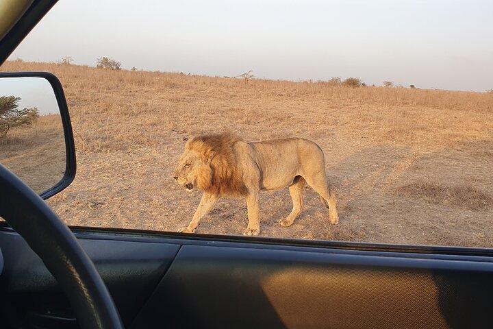 8 Days 7 Nights Safari Package in Kenya Private Tour
