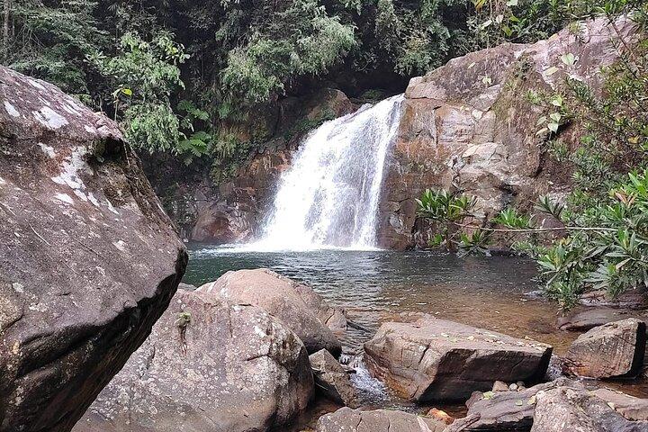 Sinharaja Rainforest Trek Guided Jungle Hiking Experience