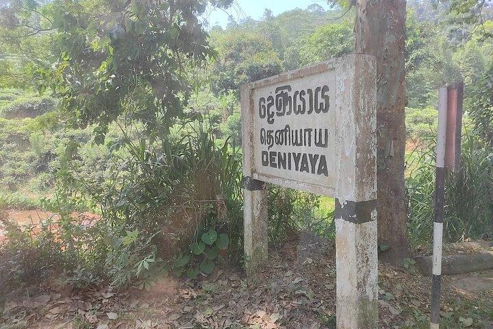 Sinharaja Rainforest Trek Guided Jungle Hiking Experience