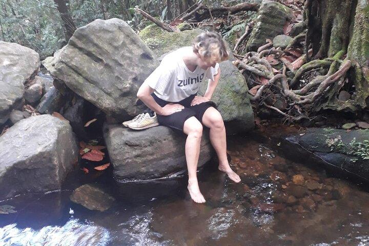 Sinharaja Rainforest Trek Guided Jungle Hiking Experience