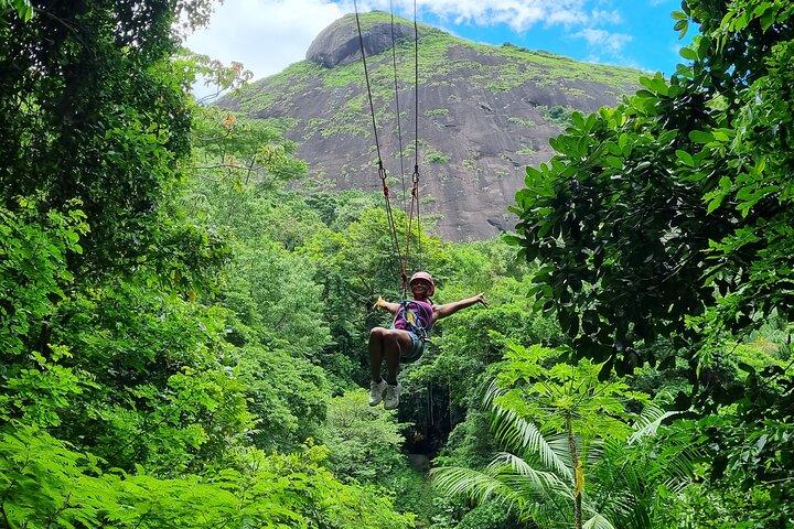 Zip Lining and Canopy Tree Tour in Rio de Janeiro