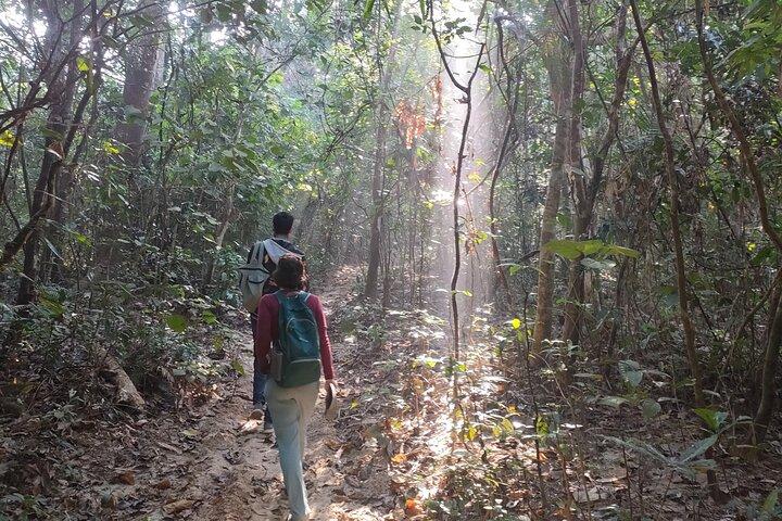 Full Day Sreemangal Tea Garden & National Park Hiking Tour