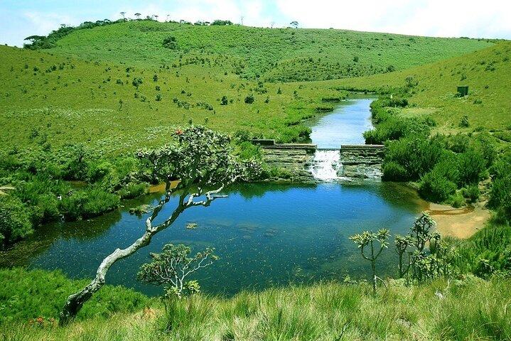 3 Days All Inclusive Kandy Nuwara-Eliya Tour From Colombo