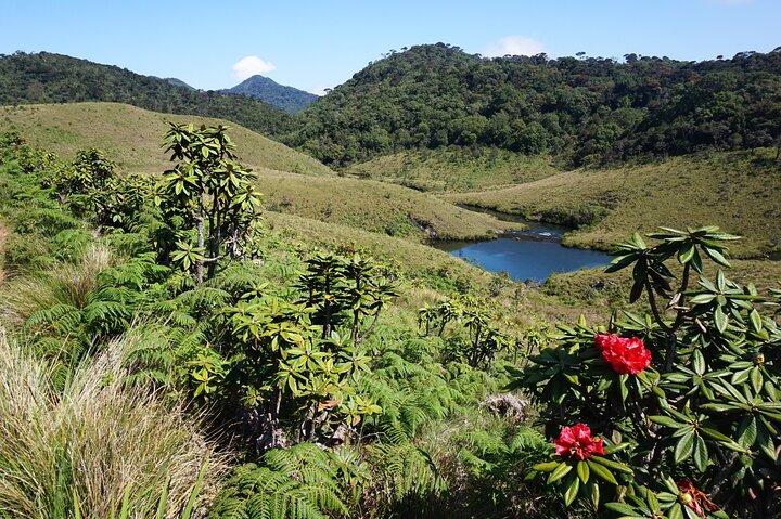 3 Days All Inclusive Kandy Nuwara-Eliya Tour From Colombo