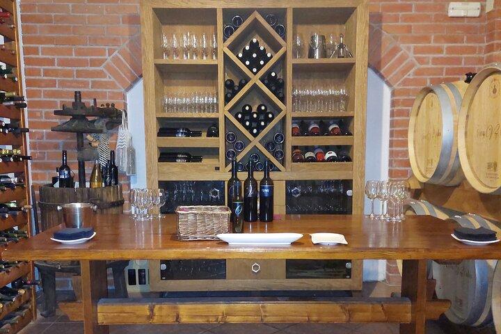 Pelješac Wine Tour from Dubrovnik: Taste the Best