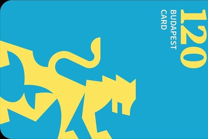 Budapest Card: Free Public Transport, Spa & Museums with Delivery