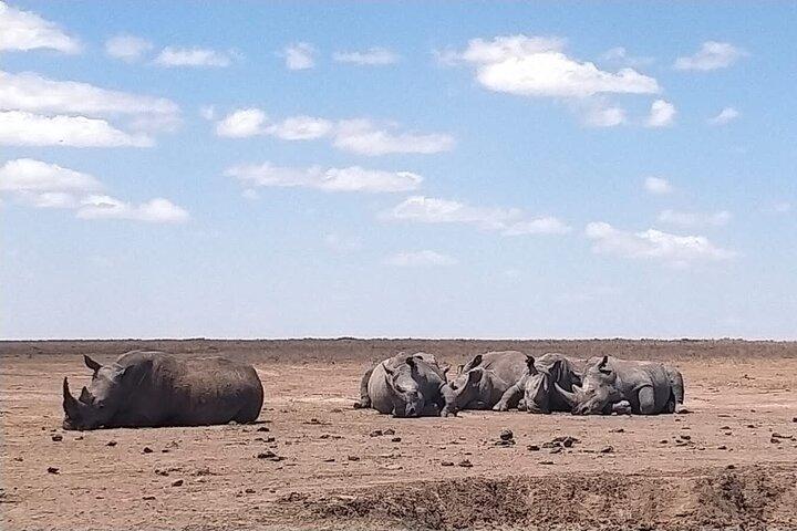 Private Half Day Tour in Nairobi National Park