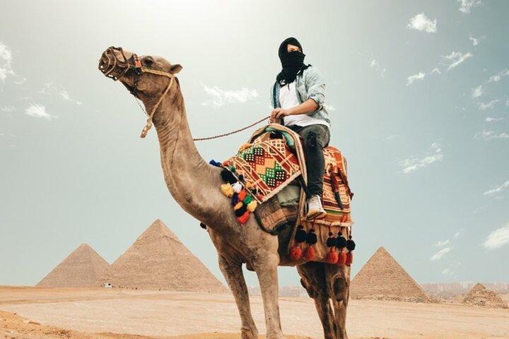Giza Pyramids, The Egyptian Museum And Cairo Citadel-Mohamed Ali Mosque- Private
