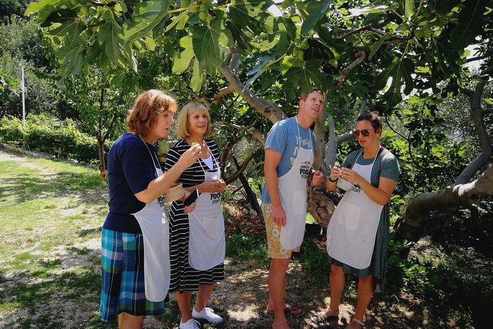 Traditional Cooking Class in Dubrovnik Countryside