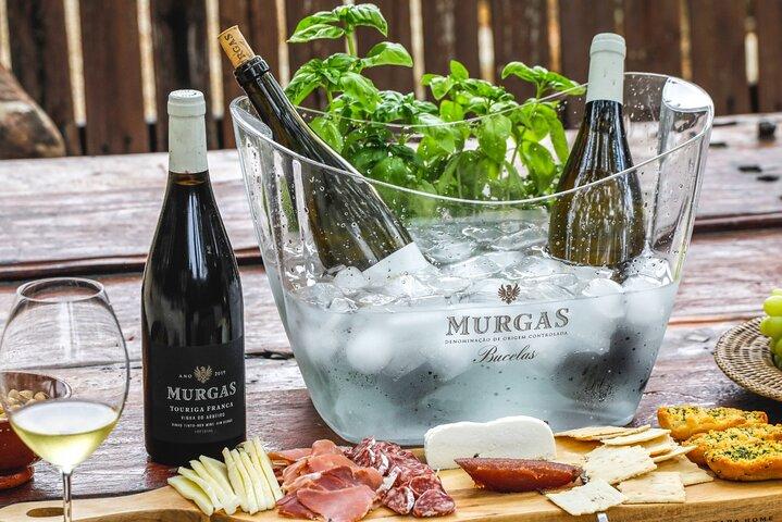 Wine tasting at Quinta das Murgas