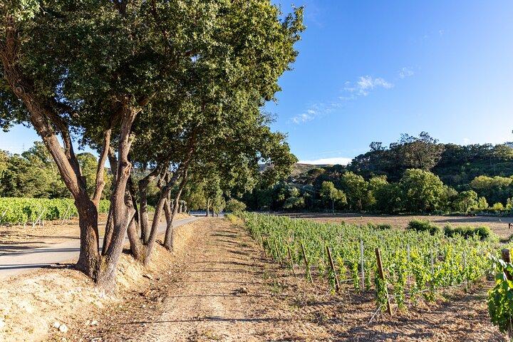 Wine tasting at Quinta das Murgas