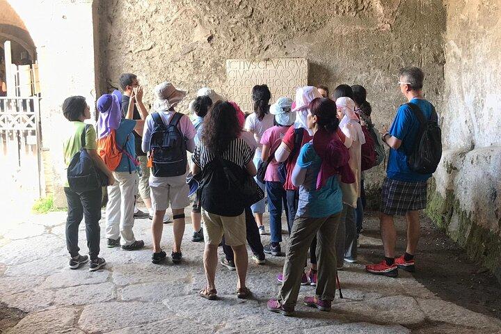Pompeii Tour with experienced guide