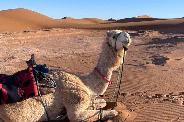 Zagora M’hamid, 3 Days Tour to Erg Chigaga Desert from Marrakech