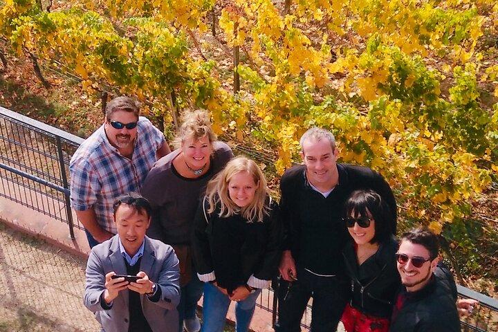 Small Group Rheingau Vineyards Tour with Castles and Abbeys