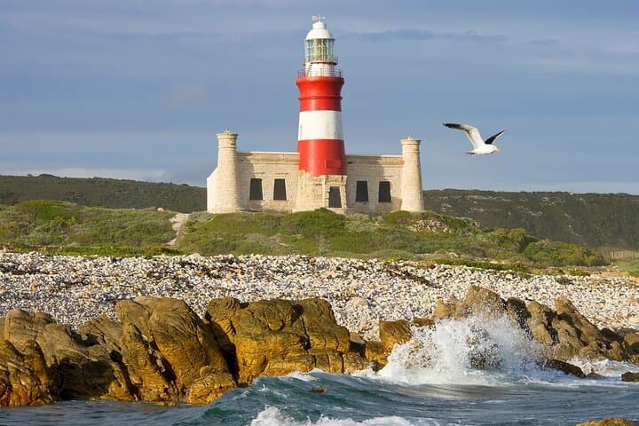 Full day Cape Agulhas Private Tour