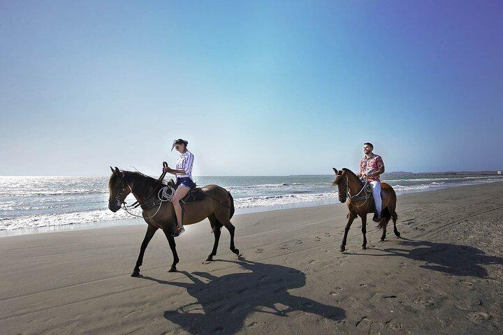 Cartagena : Private Mangrove Tour + Lunch + Horse riding