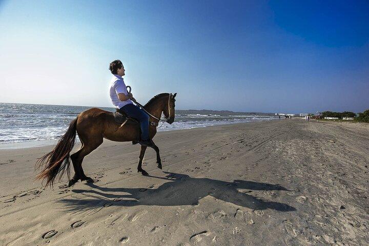 Cartagena : Private Mangrove Tour + Lunch + Horse riding