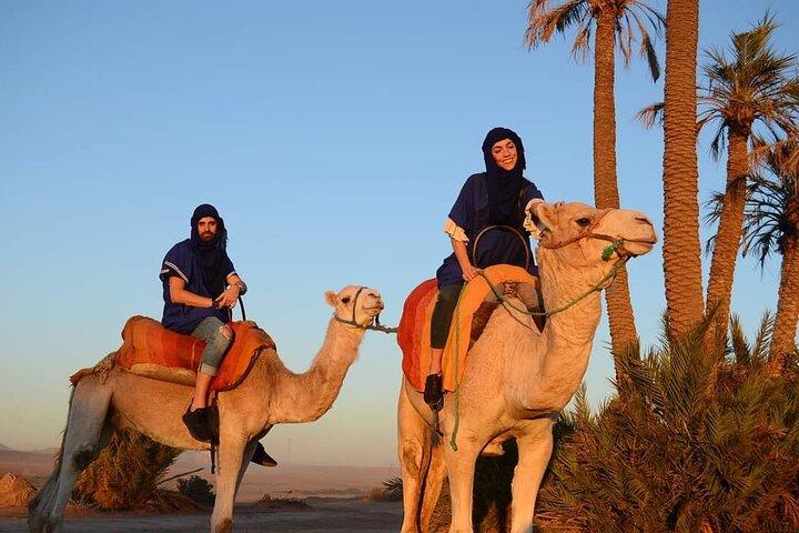 Marrakech: 2 Hours Quad Bike and Camel Ride Experience with Tea