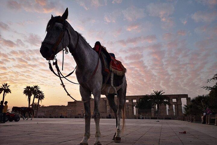 Full-Day Trip to Luxor by Plane from Cairo