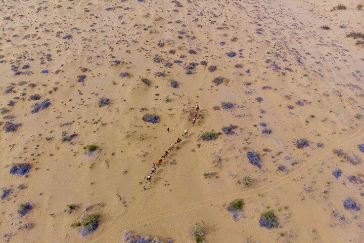 Overnight Camel Safari - Sleeping under the Stars