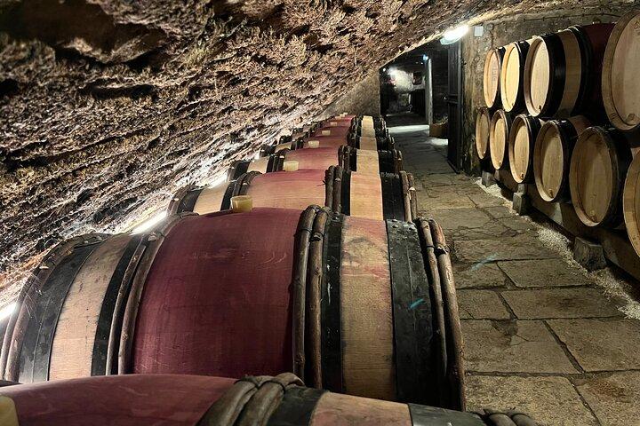 Burgundy Grand Crus Route Day Tour - 14 Wines Tastings in Domains