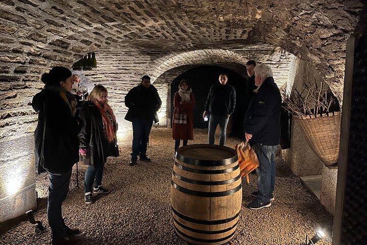 Burgundy Grand Crus Route Day Tour - 14 Wines Tastings in Domains